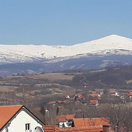 Apartman "Vienna" Sokobanja Exterior foto