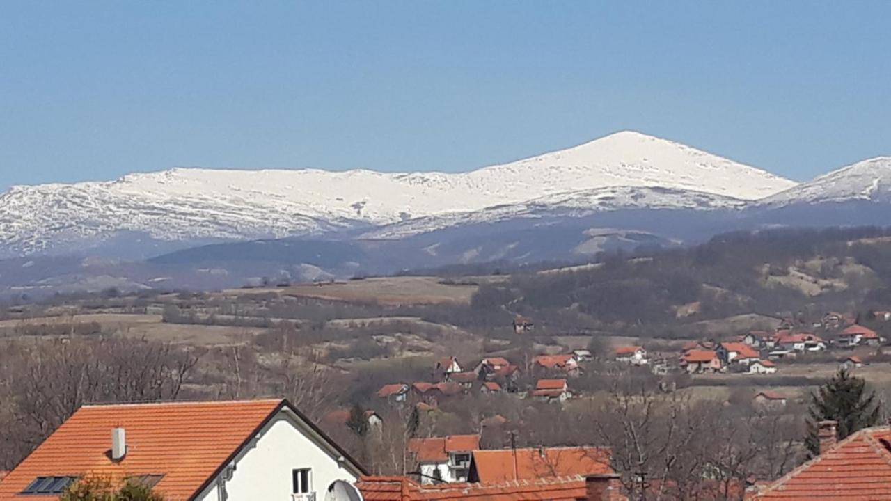 Apartman "Vienna" Sokobanja Exterior foto