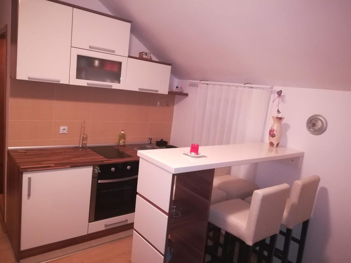 Apartman "Vienna" Sokobanja Exterior foto