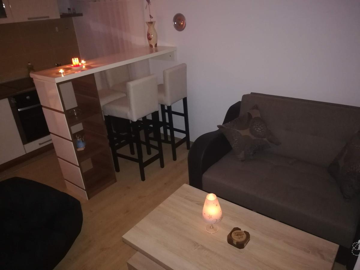 Apartman "Vienna" Sokobanja Exterior foto